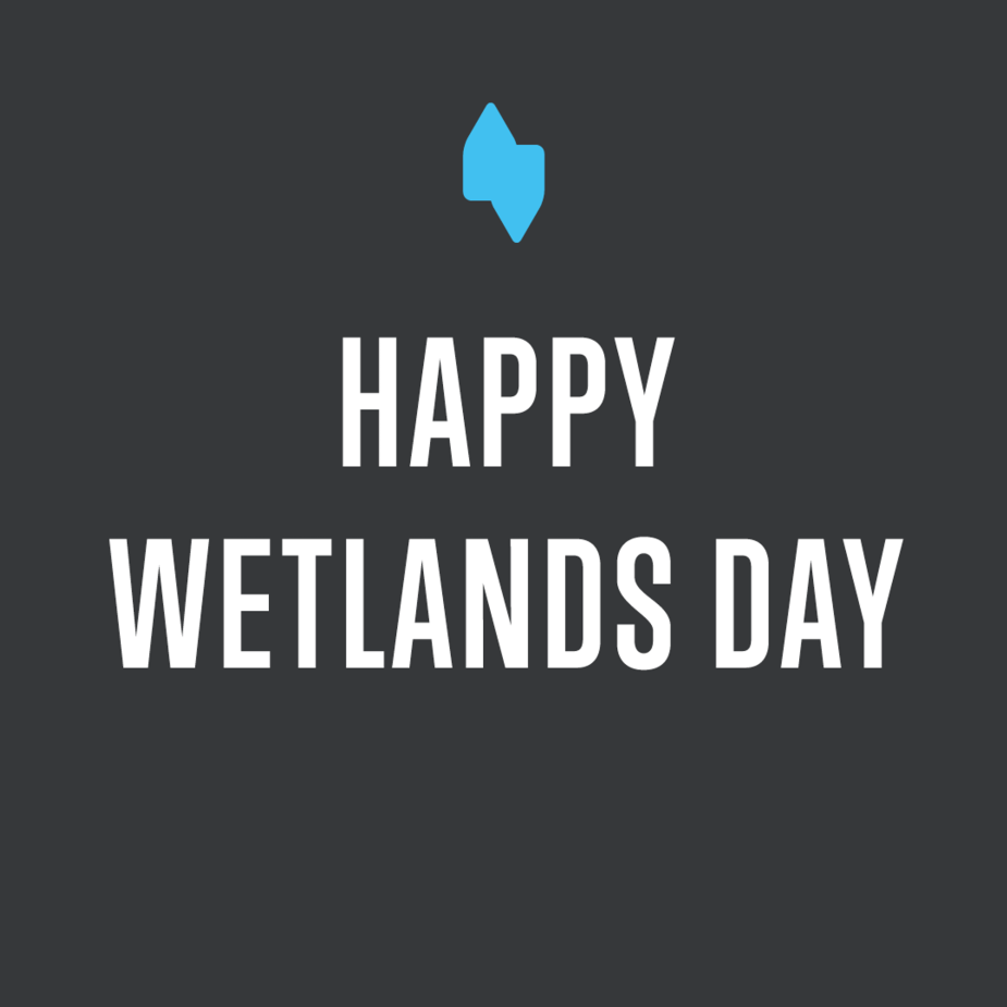 World Wetlands Day World Wetlands Day