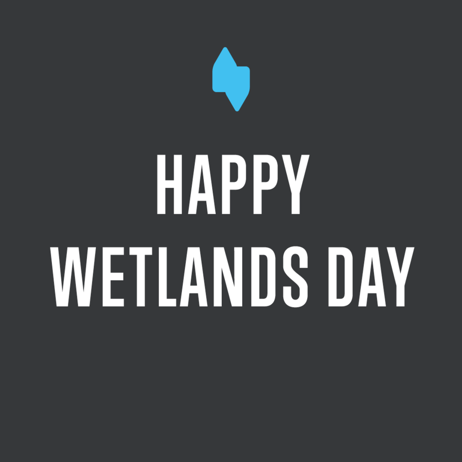 World Wetlands Day