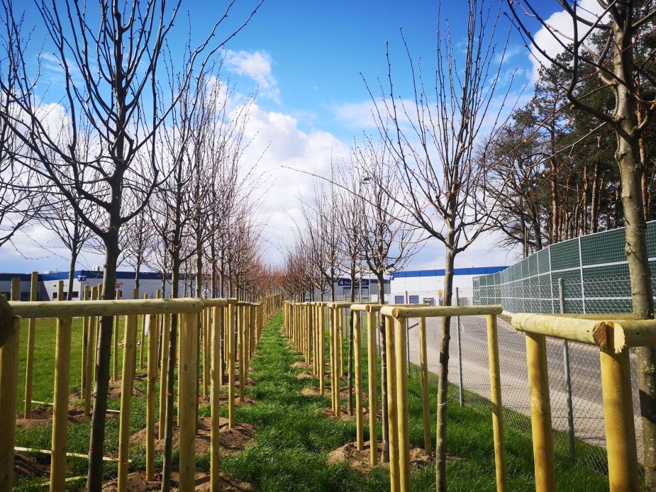 Take a deep breath, today we are celebrating the Arbor Day! Take a deep breath, today we are celebrating the Arbor Day!