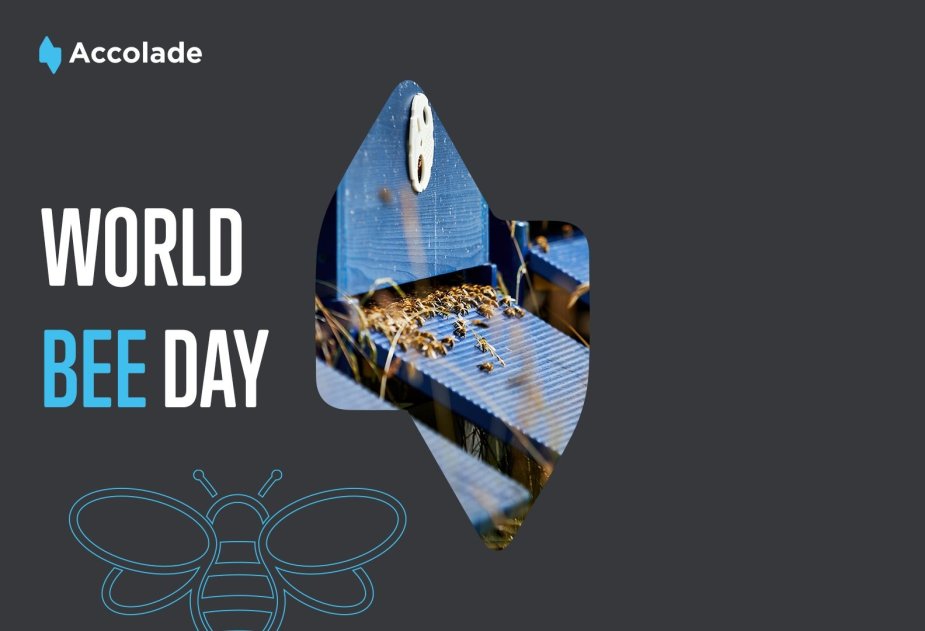 Dnes máme Svetový deň včiel!