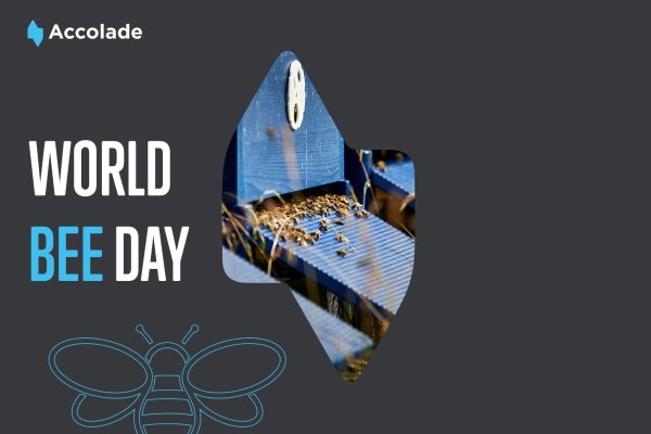Svjetski je dan pčela!