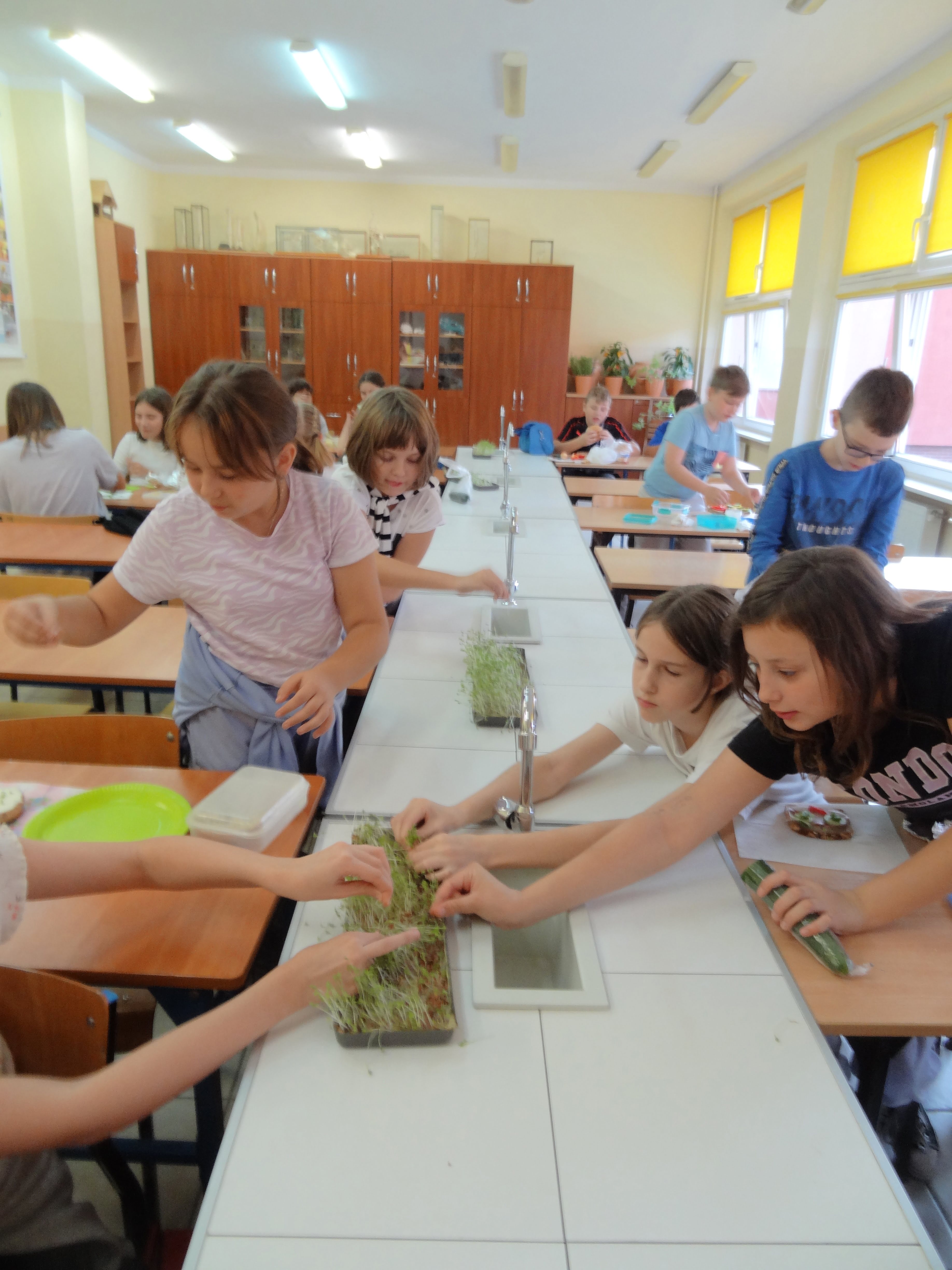 Investing in Legnica's youth